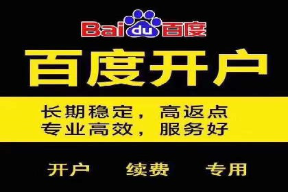 竞价推广中的数据监控与分析：某行业头部企业的成功经验